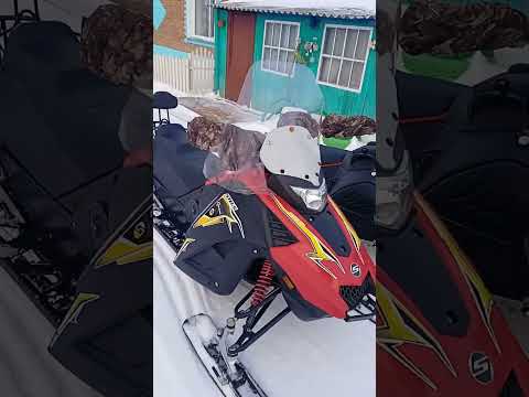 Видео: третий сезон,отзыв ирбис сф 150 и стелс капитан.