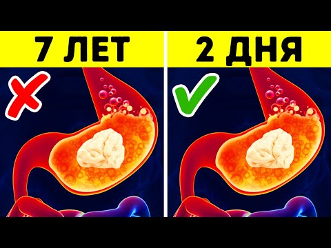 Видео: 29 мифов, в которые верят даже ваши родители