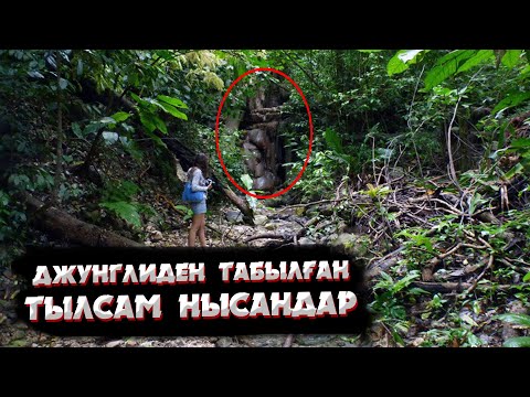 Видео: ДЖУНГЛИДЕН ТАБЫЛҒАН 7 КЕРЕМЕТ, ТЫЛСЫМ НЫСАН