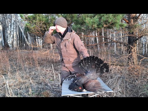 Видео: Самое Вонючее Таёжное Мясо.