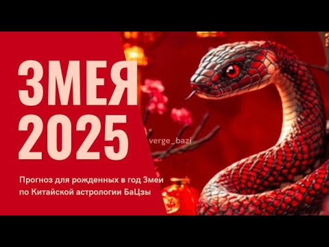 Видео: ПРОГНОЗ НА 2025 год ЗМЕИ для рождённых в год ЗМЕИ 🐍