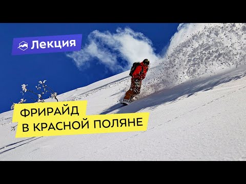Видео: Фрирайд в Красной Поляне для начинающих