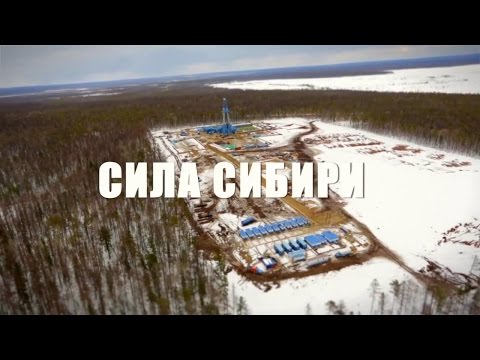 Видео: Сила Сибири