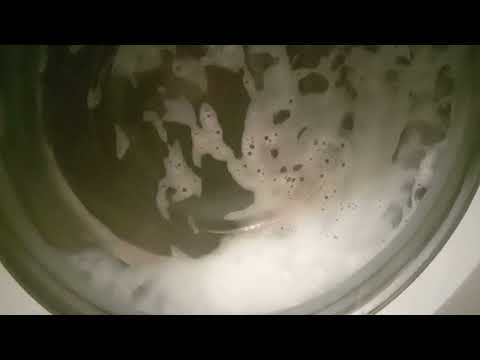 Видео: 29 жовтня 2025 р.