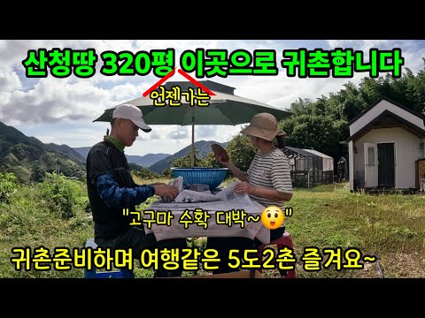 Видео: Наслаждаюсь 5 провинциями и 2 деревнями, словно путешествую / Урожай батата был потрясающим 😲 / М...