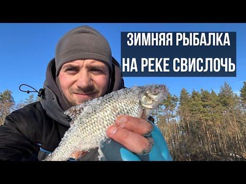 Видео: Рыбалка на БЕЗМОТЫЛКУ. Зимняя рыбалка на реке Свислочь