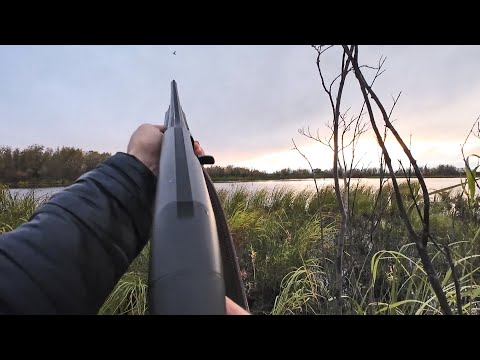 Видео: ОХОТА НА УТКУ С ПОДХОДА. НАСТРЕЛЯЛ НА УЖИН МЯСА И ПРИГОТОВИЛ. ЧЕТКИЕ ВЫСТРЕЛЫ В ЛЕТ С РУЖЬЯ.