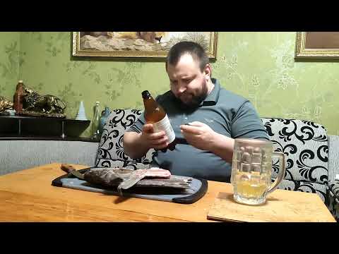 Видео: Пиво Жашківське Пшеничне