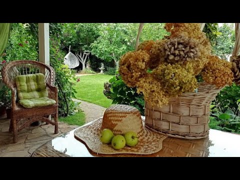 Видео: Куда девать яблоки? Снова к соседям на шашлык! Сад моей соседки.