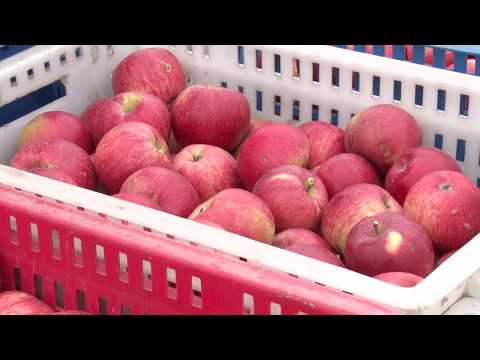 Видео: Фермерские хозяйства района