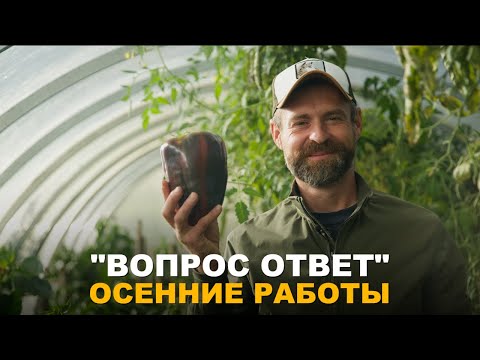 Видео: РУБРИКА "ВОПРОС-ОТВЕТ": Об обрезке и поливе сада осенью, батате, хризантемах, томатах и кротах.