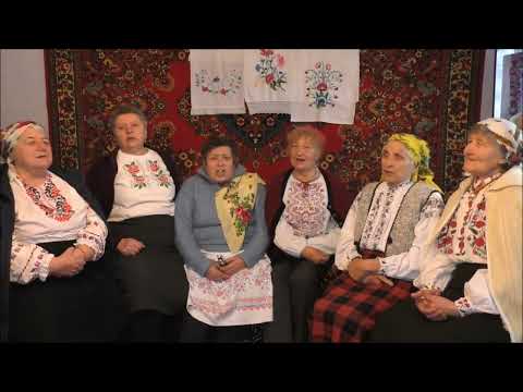 Видео: Не та роза, що за садом/Шершні Вінницька область