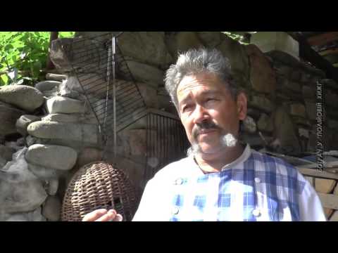 Видео: БОГРАЧ У "ПОЛІЙОВІЙ ХИЖІ". З ЦИКЛУ "ВІДПОЧИНОК В УЖАНСЬКІЙ ДОЛИНІ"