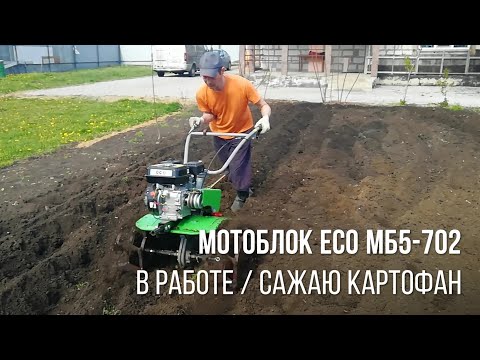 Видео: Мотоблок ECO МБ5-702 в работе | посадка картошки мотоблоком под плуг