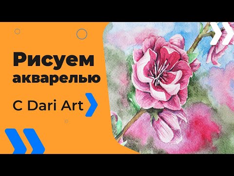 Видео: Как нарисовать цветы сакуры акварелью! #Dari_Art #рисоватьМОЖЕТкаждый