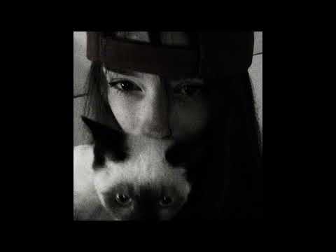 Видео: Фальшивый мир (slowed, минус)