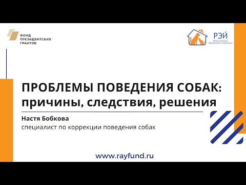 Видео: Проблемы поведения собак: причины, следствия, решения