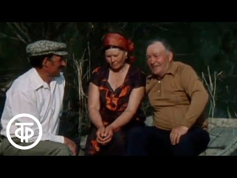 Видео: Пришла весна... Документальный фильм о передовом совхозе "Трехостровский" (1987)