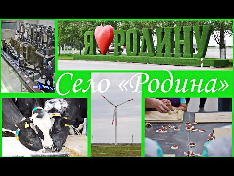 Видео: Село "Родина" - пример для подражания  🏡🐮🐄  "Rodina" village - a sample to follow