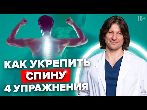 Видео: Как укрепить мышцы спины? 4 лучших упражнения для укрепления мышц спины //16+