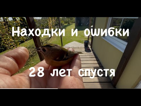 Видео: Строительство дома - с чего начать.  Наши находки и ошибки