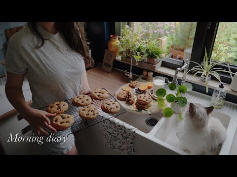 Видео: Спокойный утренний дневник с кофе и печеньем с шоколадной крошкой🍪☕️