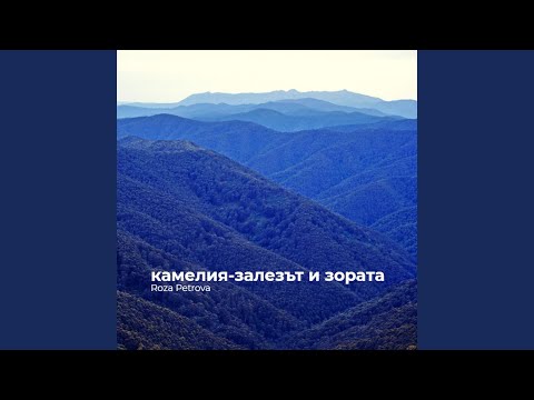 Видео: камелия-залезът и зората