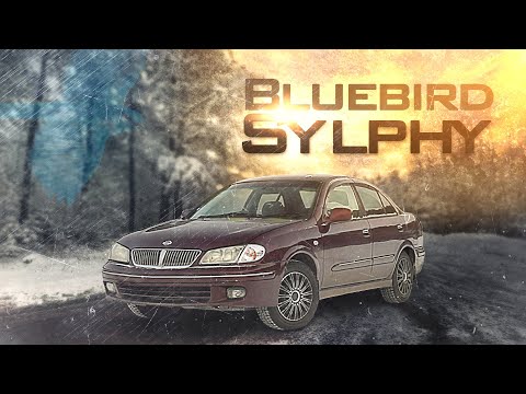 Видео: Nissan BLUEBIRD sylphy / corolla на максималках