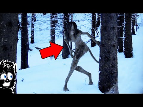 Видео: ЛЕСНАЯ МОНСТРИХА и ДРУГАЯ ХРЕНОМУТЬ СНЯТАЯ НА КАМЕРУ [Черный кот]