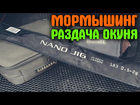 Видео: MIFINE Nano Jig 0,5-2гр. ТЕСТ на ВОДЕ. Ловлю окуней #мормышинг #nanojig #стритфишинг #рыбалка