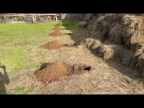 Видео: 14 сентября 2025 г.