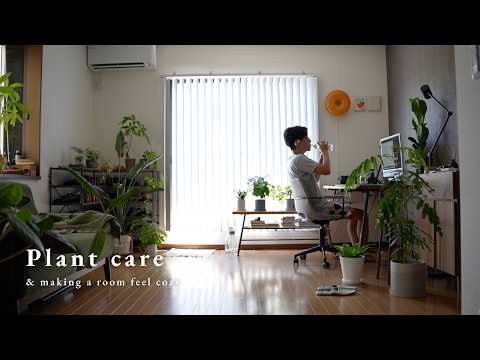Видео: Уход за комнатными растениями / Летние идеи для уютной комнаты