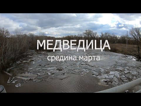 Видео: Медведица, средина марта. Половодье.