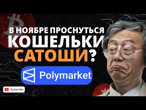 Видео: Делаем Ставки на Polymarket | Кошельки Сатоши Накамото начнут движение в ноябре?