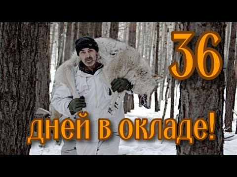 Видео: Разбор охоты на волков в окладе (Часть первая).