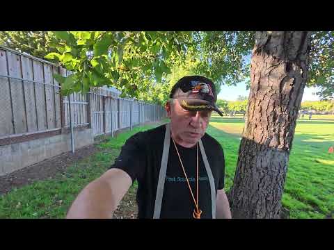 Видео: Тестирование ПО, искусственный интеллект, рынок труда в США, и как жить дальше?