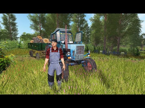 Видео: [РП] ПРИВЕЗ С ДРУГОМ БАБУШКЕ ДРОВ НА ЗИМУ!