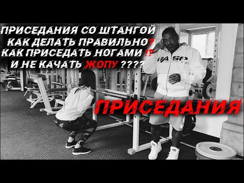 Видео: Приседания со штангой — как делать правильно для квадрицепсов ? И НЕ КАЧАТЬ ЯГОДИЦЫ!?