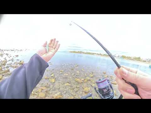 Видео: Риболов на Лаврак и Лефер в Северна Гърция