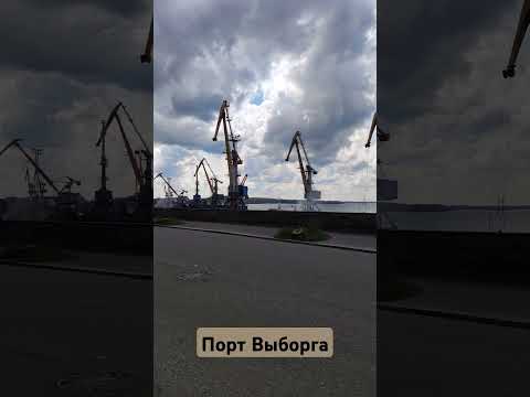 Видео: #выборг #порт