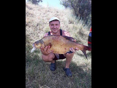 Видео: Егорлыкское водохранилище. Ставропольский край 18 июня 2022г