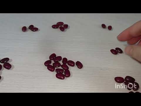 Видео: Гадание.кумалак на следующую неделю