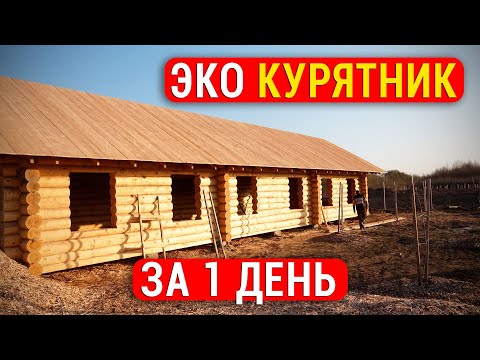 Видео: Лучший в мире курятник за 1 день! ЭКО Курятник для получения этических БИО ЯИЦ и долгой жизни КУР!