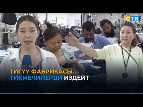 Видео: "Актис" тигүү фабрикасында 90 бош жумуш орундары бар