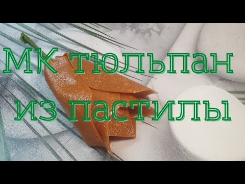 Видео: МК ТЮЛЬПАН из ПАСТИЛЫ