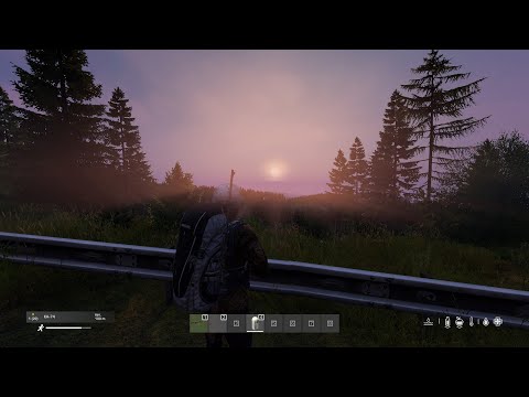 Видео: 20 дней нашего выживания в DAYZ