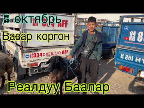 Видео: Реалдуу Баалар Базар коргон кой базары 5 октябрь 🔥🔥🔥🔥
