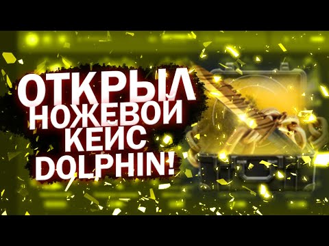 Видео: ОТКРЫЛ НОЖЕВОЙ КЕЙС НА DOLPHIN!
