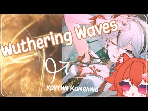 Видео: 【Wuthering Waves】Крутки Камелии // Скрутили 30 000 Гемов