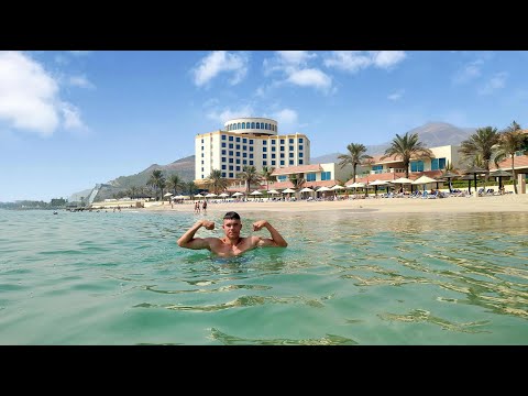 Видео: Oceanic Khorfakkan Resort Spa 4*/Хор-Факкан отель Океаник райское место!🌞🐢